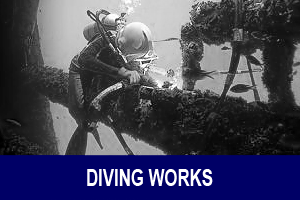 ☆ Diving Works